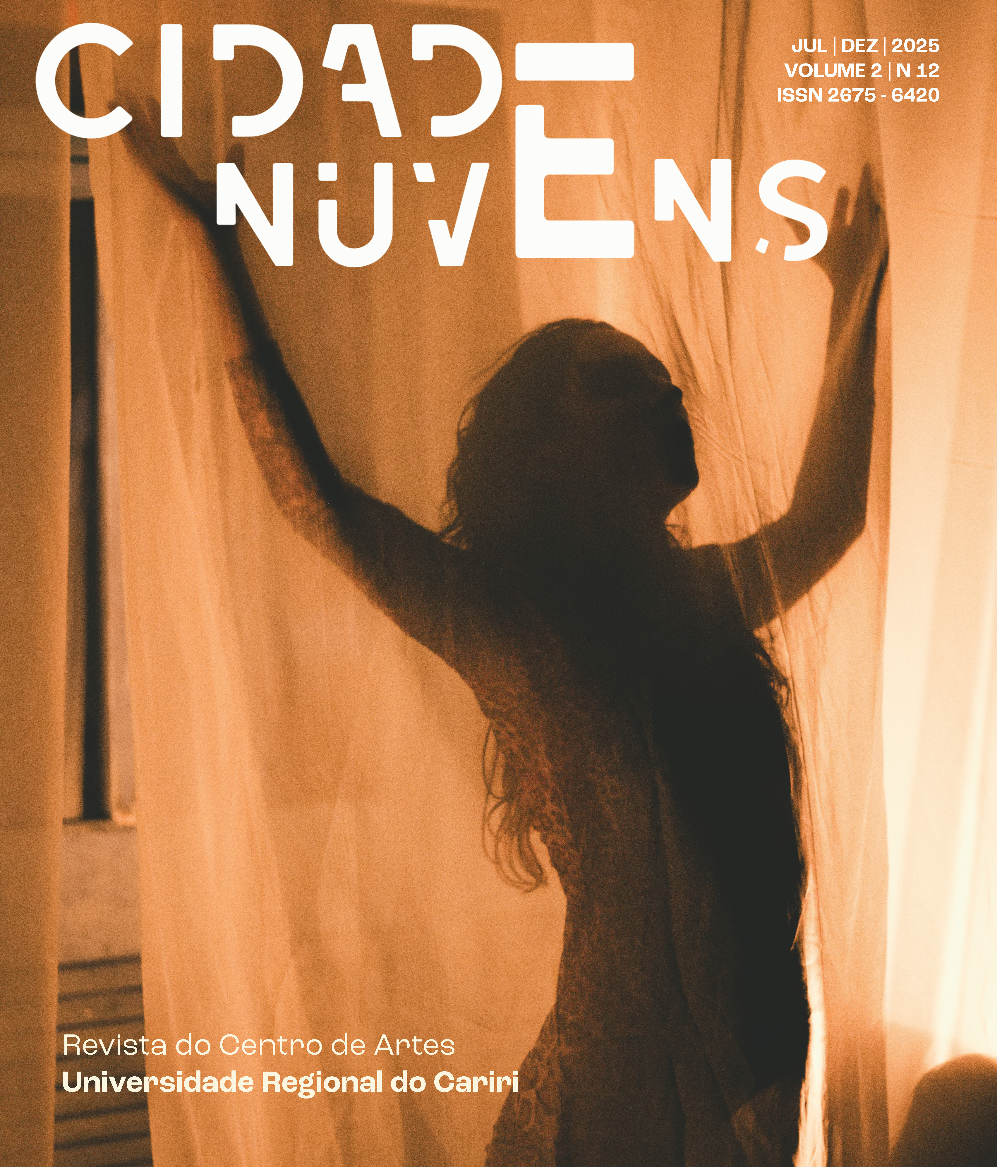 					Visualizar v. 1 n. 12 (2025): REVISTA CIDADE NUVENS
				
